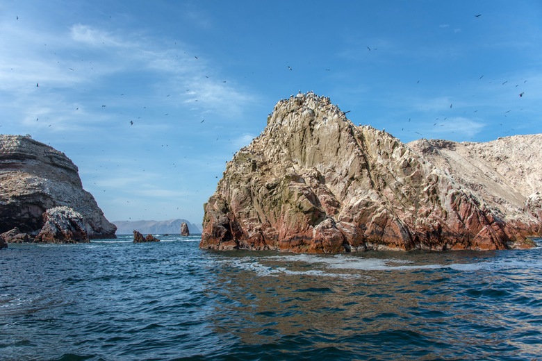 Îles Ballestas